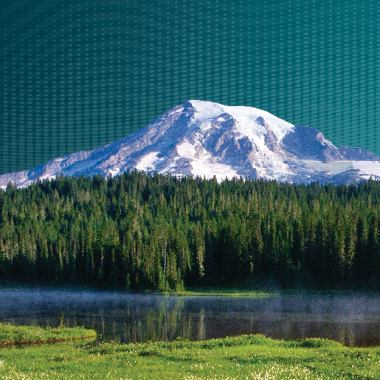 2024: The Year in Review thumbnail