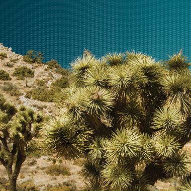 Sustainability vs Resilience: It’s a Vector Thing thumbnail