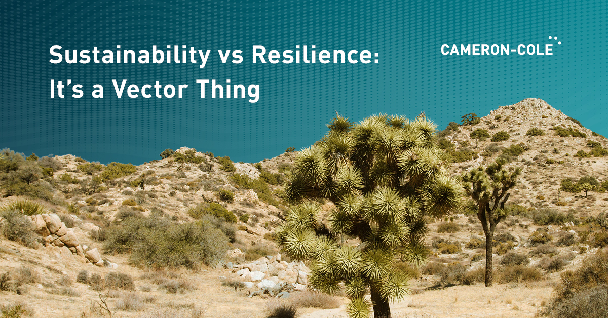 Sustainability vs Resilience: It’s a Vector Thing image