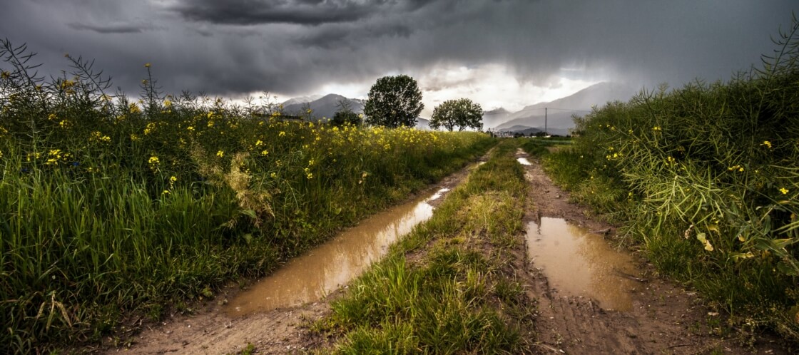 Regional Groundwater Pumping and Benzene Contaminant Plume Characterization thumbnail