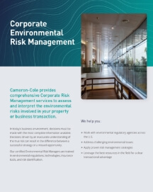 Corporate Environmental Risk Management thumbnail