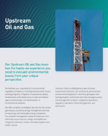 Upstream Oil and Gas thumbnail